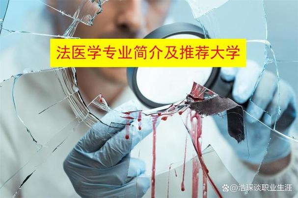 学法医有哪些要求？（上大学怎么样可以学法医）