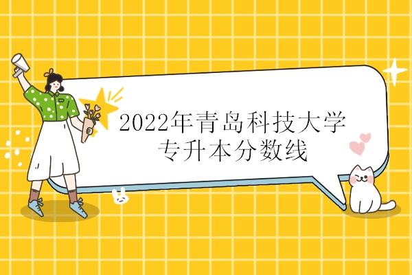 青岛科技大学黄岛校区有哪些专业？（青岛科技大学财务管理学怎么样）