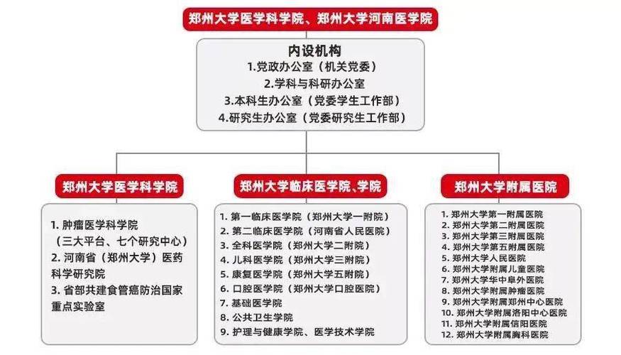 河南大学的临床医学认可度怎么样？（郑州大学修第二专业怎么样）