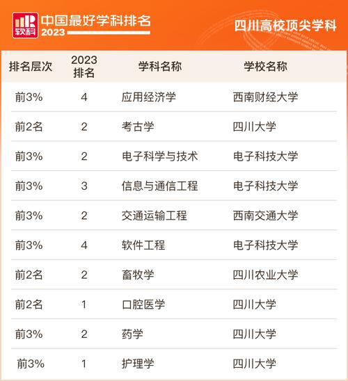 川农计算机科学与技术就业怎样？（川农计算机怎么样）