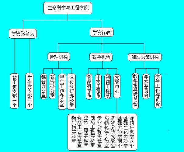 兰州理工大学制药工程前景如何？（武汉理工制药工程中外合作怎么样）