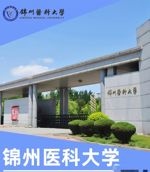 锦州医科大学医疗学院是什么校区？（锦州医科大学环境怎么样）